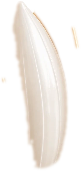 A golden husk opening to reveal the white rice grain inside
